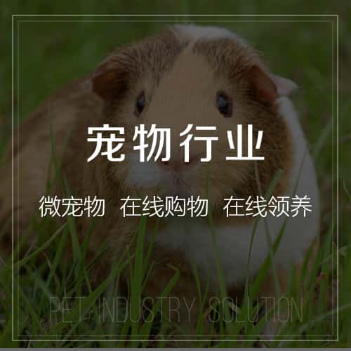 澄迈县宠物