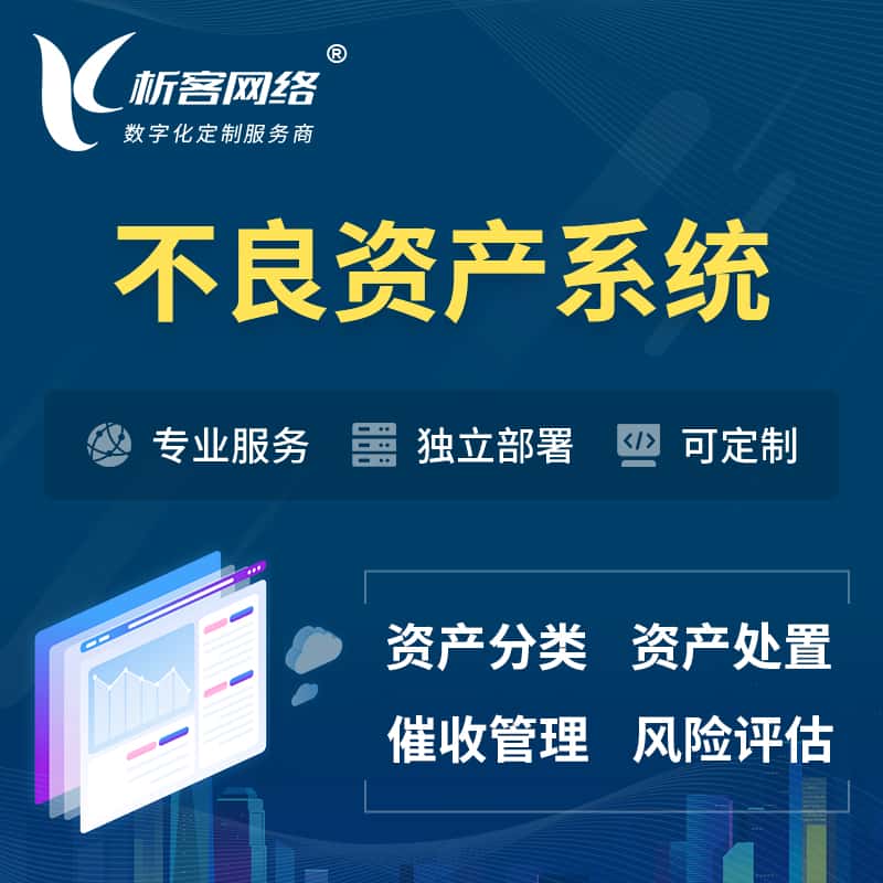 澄迈县不良资产管理系统