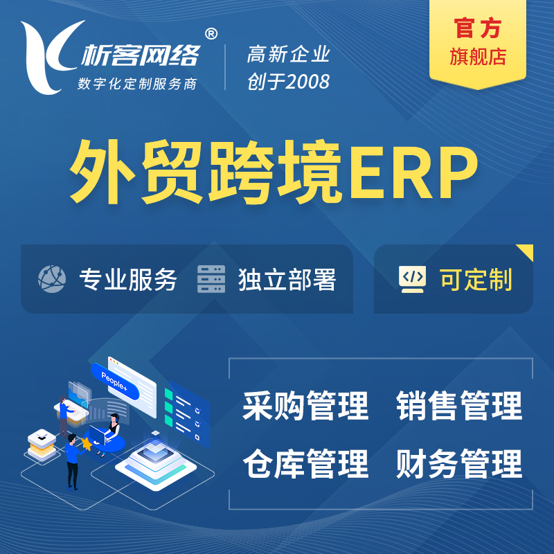 澄迈县外贸跨境ERP软件生产海外仓ERP管理系统